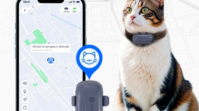 Seeworld P2 Tracker For Cats