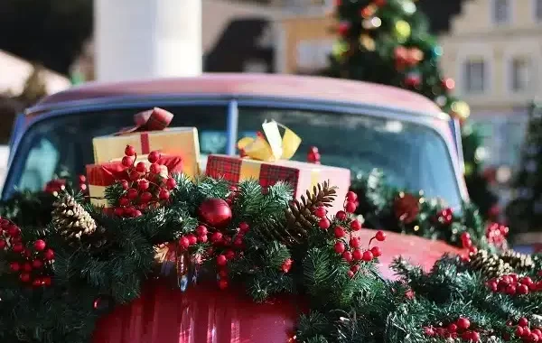 Holiday Car -theft
