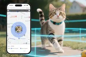 zootopia with gps tracker